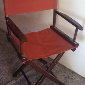 director chair