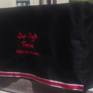 san sujo table cover 2